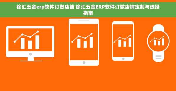 徐汇五金erp软件订做店铺 徐汇五金ERP软件订做店铺定制与选择指南