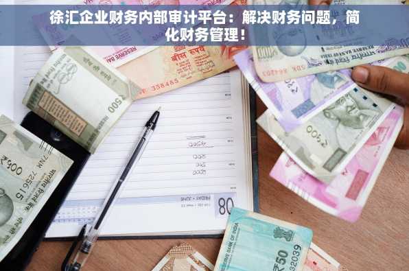徐汇企业财务内部审计平台：解决财务问题，简化财务管理！