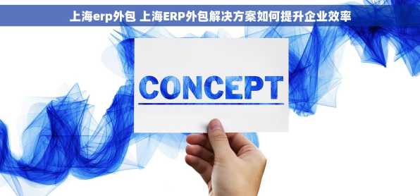 上海erp外包 上海ERP外包解决方案如何提升企业效率