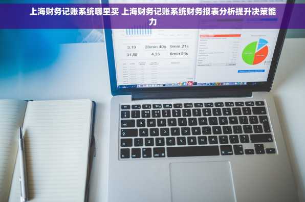 上海财务记账系统哪里买 上海财务记账系统财务报表分析提升决策能力