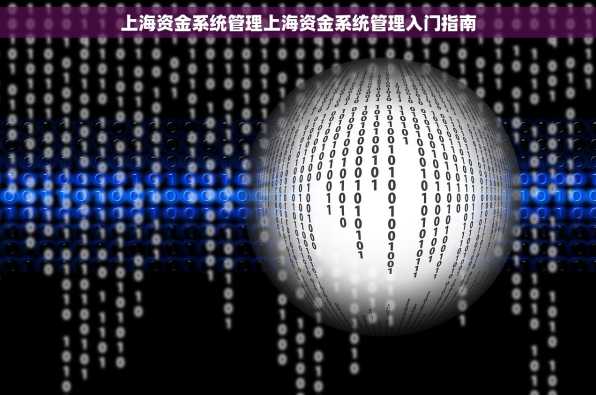 上海资金系统管理上海资金系统管理入门指南