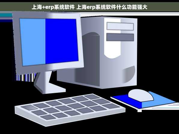 上海+erp系统软件 上海erp系统软件什么功能强大