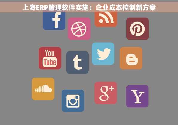 上海ERP管理软件实施：企业成本控制新方案