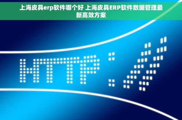 上海皮具erp软件哪个好 上海皮具ERP软件数据管理最新高效方案
