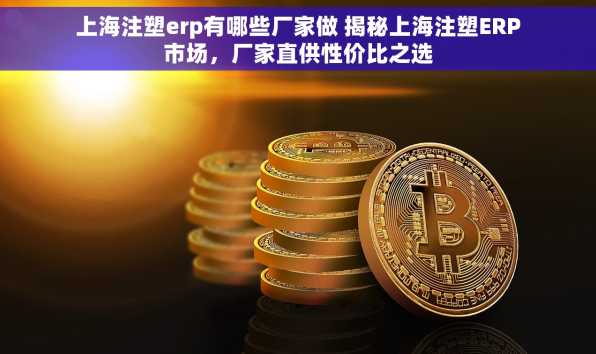 上海注塑erp有哪些厂家做 揭秘上海注塑ERP市场，厂家直供性价比之选