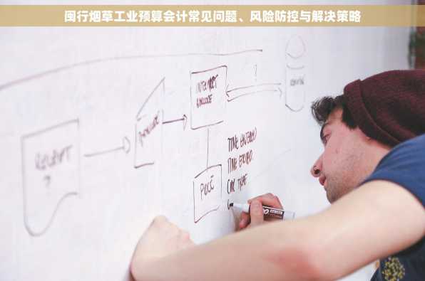 闽行烟草工业预算会计常见问题、风险防控与解决策略