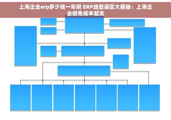 上海企业erp多少钱一年啊 ERP选型误区大揭秘：上海企业避免成本超支