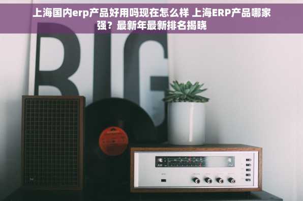 上海国内erp产品好用吗现在怎么样 上海ERP产品哪家强？最新年最新排名揭晓