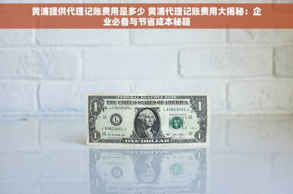 黄浦提供代理记账费用是多少 黄浦代理记账费用大揭秘：企业必备与节省成本秘籍
