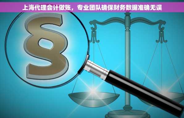 上海代理会计做账，专业团队确保财务数据准确无误