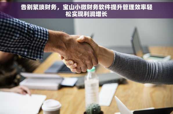 告别繁琐财务，宝山小微财务软件提升管理效率轻松实现利润增长