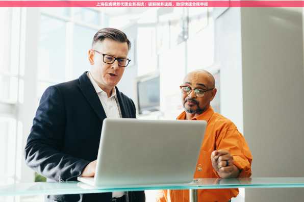 上海在线税务代理业务系统：破解税务迷局，助您快速合规申报