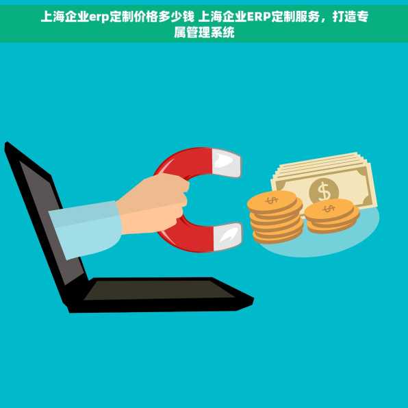 上海企业erp定制价格多少钱 上海企业ERP定制服务，打造专属管理系统