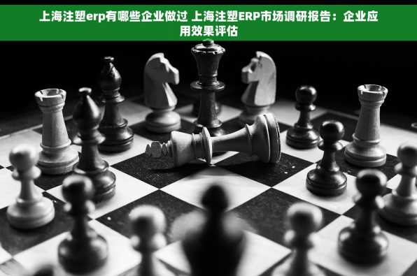 上海注塑erp有哪些企业做过 上海注塑ERP市场调研报告：企业应用效果评估