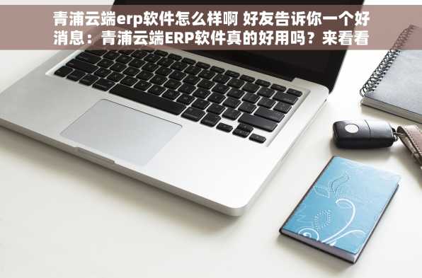 青浦云端erp软件怎么样啊 好友告诉你一个好消息：青浦云端ERP软件真的好用吗？来看看真实反馈并抓住打折机会！