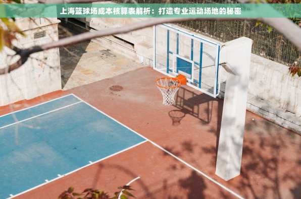 上海篮球场成本核算表解析：打造专业运动场地的秘密