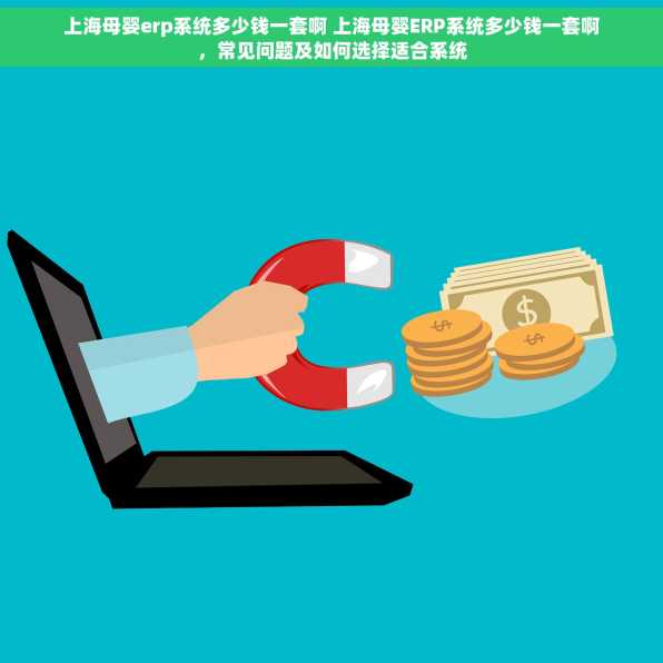 上海母婴erp系统多少钱一套啊 上海母婴ERP系统多少钱一套啊，常见问题及如何选择适合系统