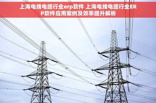 上海电线电缆行业erp软件 上海电线电缆行业ERP软件应用案例及效率提升解析