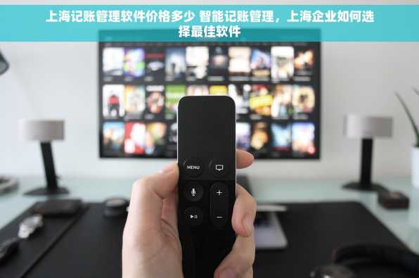 上海记账管理软件价格多少 智能记账管理，上海企业如何选择最佳软件