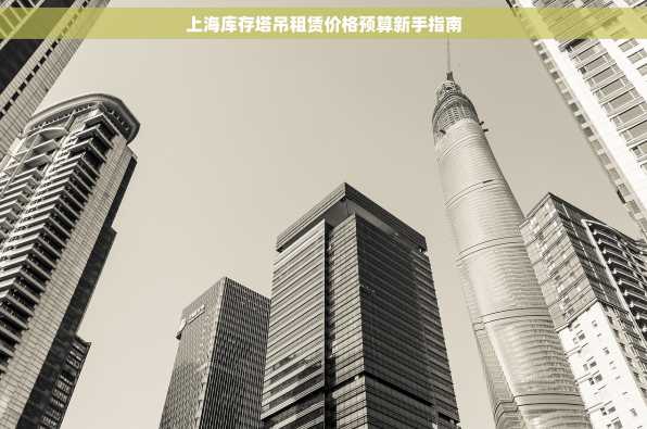 上海库存塔吊租赁价格预算新手指南