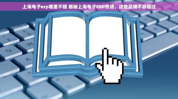 上海电子erp哪里不错 揭秘上海电子ERP市场，这些品牌不容错过