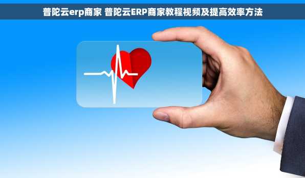 普陀云erp商家 普陀云ERP商家教程视频及提高效率方法