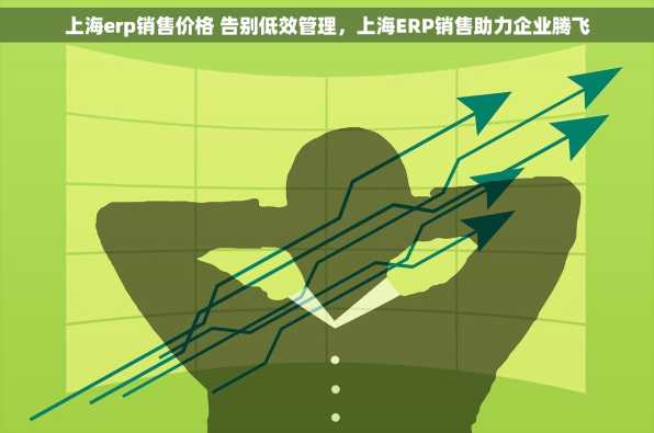上海erp销售价格 告别低效管理，上海ERP销售助力企业腾飞