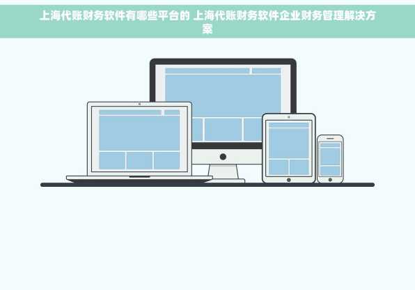 上海代账财务软件有哪些平台的 上海代账财务软件企业财务管理解决方案