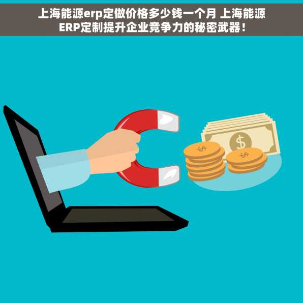 上海能源erp定做价格多少钱一个月 上海能源ERP定制提升企业竞争力的秘密武器！