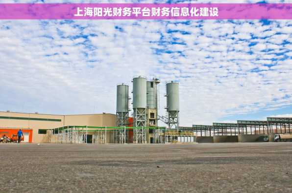上海阳光财务平台财务信息化建设