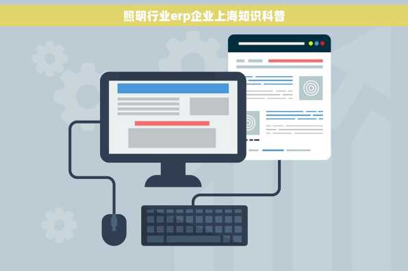 照明行业erp企业上海知识科普