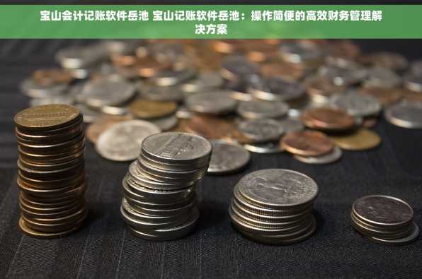 宝山会计记账软件岳池 宝山记账软件岳池：操作简便的高效财务管理解决方案