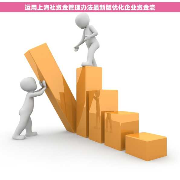 运用上海社资金管理办法最新版优化企业资金流