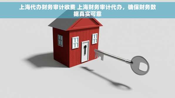 上海代办财务审计收费 上海财务审计代办，确保财务数据真实可靠