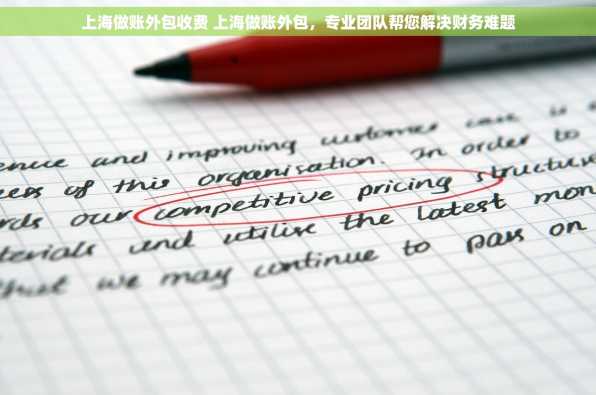 上海做账外包收费 上海做账外包，专业团队帮您解决财务难题