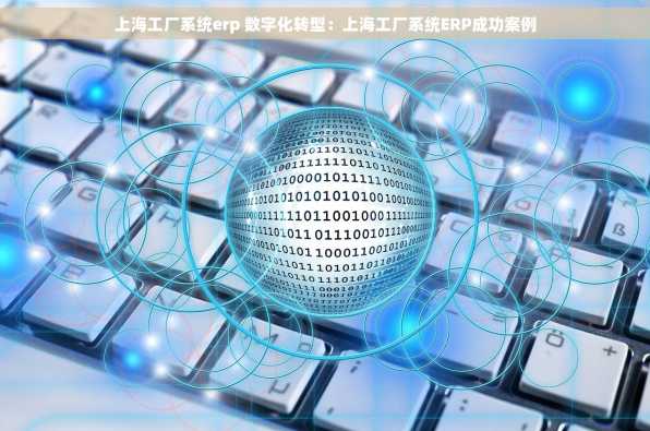 上海工厂系统erp 数字化转型：上海工厂系统ERP成功案例