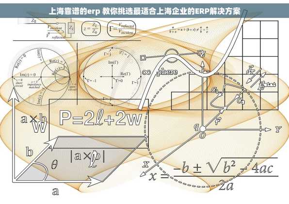 上海靠谱的erp 教你挑选最适合上海企业的ERP解决方案