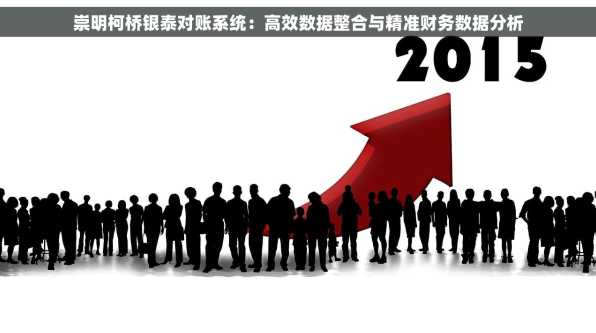 崇明柯桥银泰对账系统：高效数据整合与精准财务数据分析