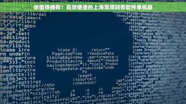 你值得拥有！高效便捷的上海常用财务软件单机版