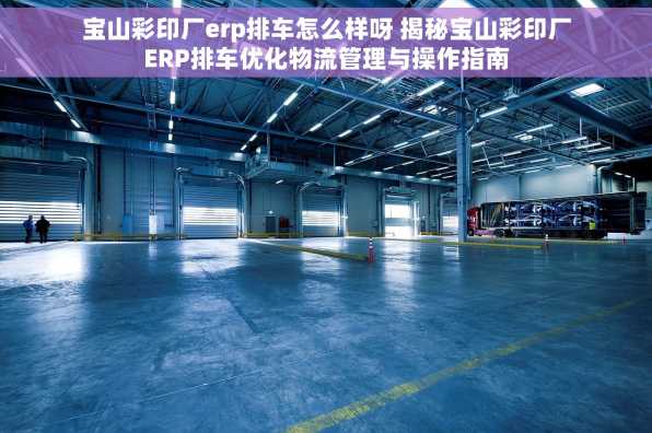 宝山彩印厂erp排车怎么样呀 揭秘宝山彩印厂ERP排车优化物流管理与操作指南