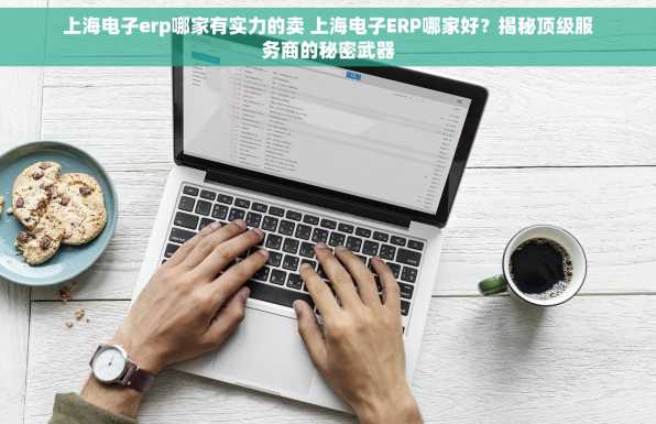 上海电子erp哪家有实力的卖 上海电子ERP哪家好？揭秘顶级服务商的秘密武器