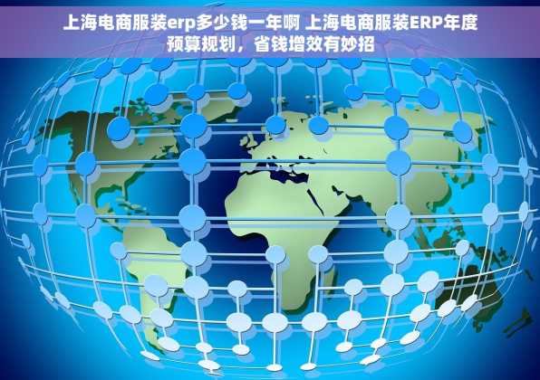 上海电商服装erp多少钱一年啊 上海电商服装ERP年度预算规划，省钱增效有妙招