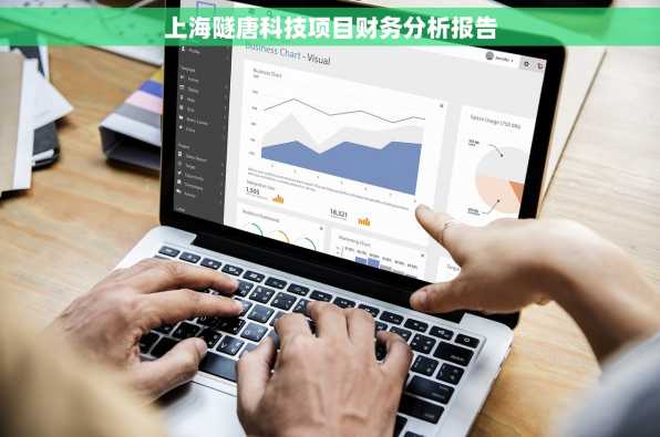 上海隧唐科技项目财务分析报告