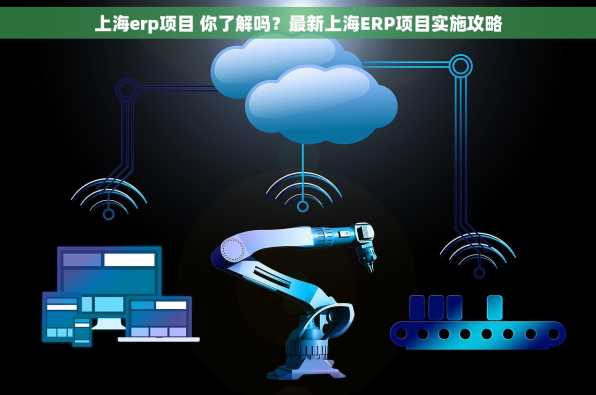 上海erp项目 你了解吗？最新上海ERP项目实施攻略