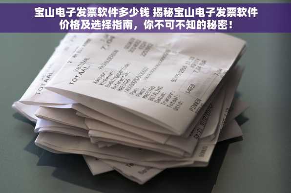 宝山电子发票软件多少钱 揭秘宝山电子发票软件价格及选择指南，你不可不知的秘密！