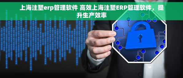 上海注塑erp管理软件 高效上海注塑ERP管理软件，提升生产效率