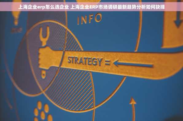 上海企业erp怎么选企业 上海企业ERP市场调研最新趋势分析如何抉择