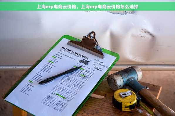 上海erp电商云价格，上海erp电商云价格怎么选择