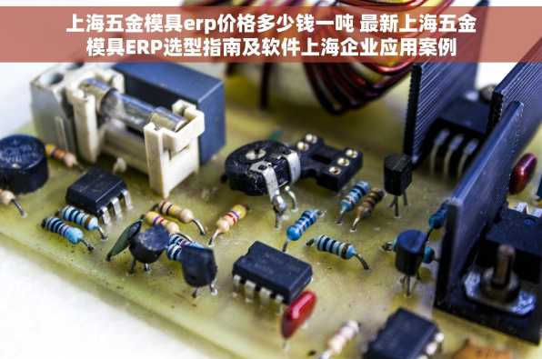 上海五金模具erp价格多少钱一吨 最新上海五金模具ERP选型指南及软件上海企业应用案例
