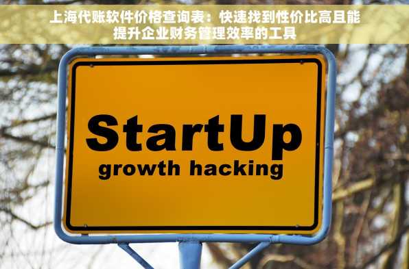 上海代账软件价格查询表：快速找到性价比高且能提升企业财务管理效率的工具